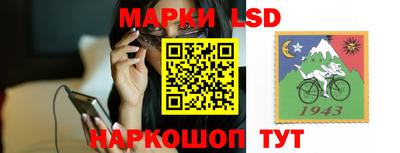 стаф Шебекино